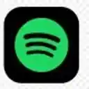 Spotify icon